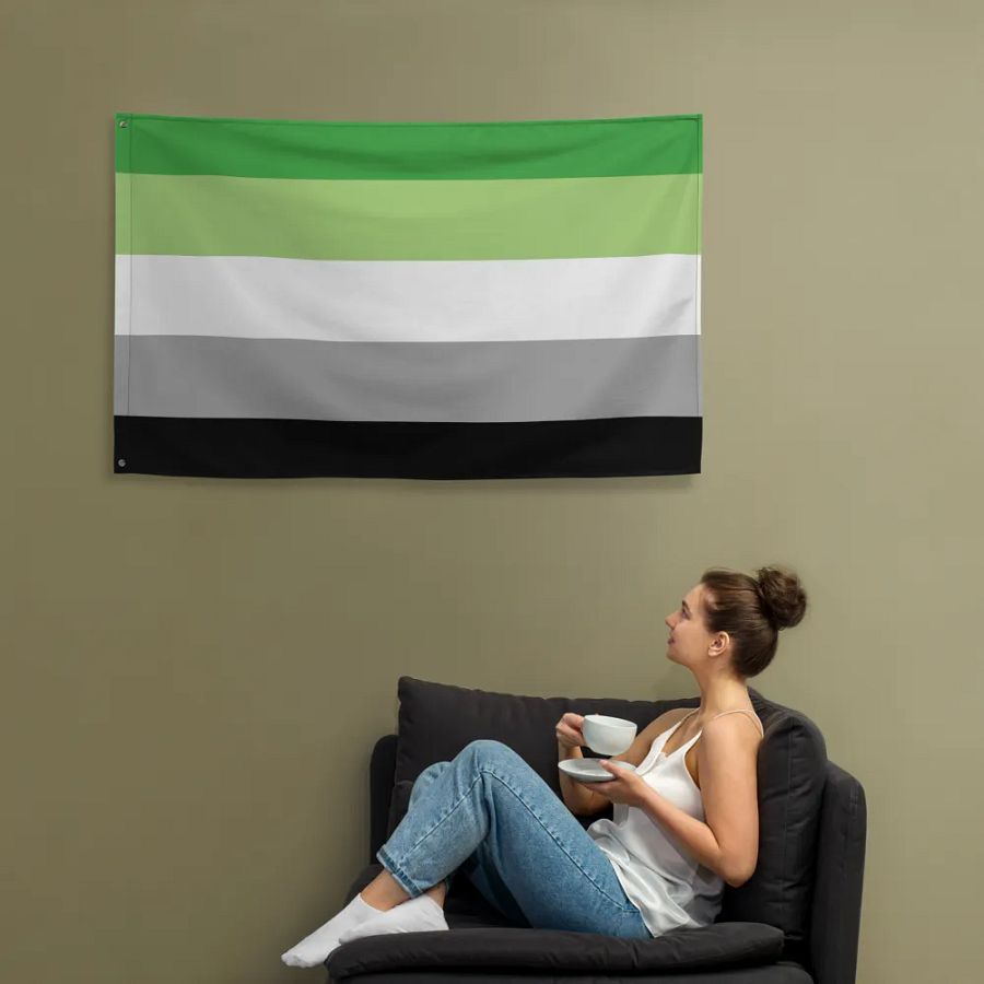 Aromantic Flag product image (12)