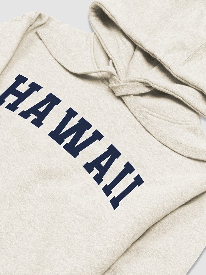 Hawaii Vintage Stylish Unisex Premium Hoodie product image (2)