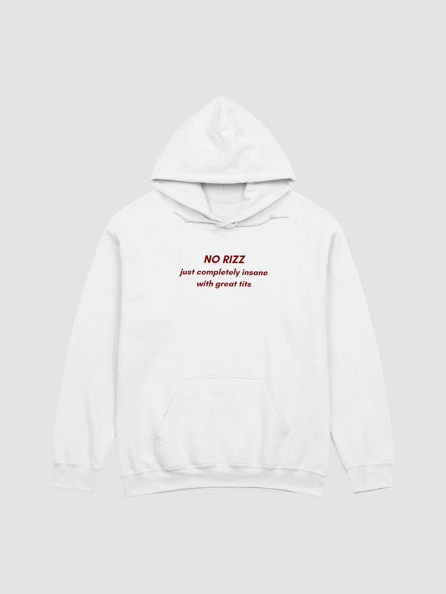 NO RIZZ JUST COMPLETELY INSANE WITH GREAT TITS HOODIE product image (1)