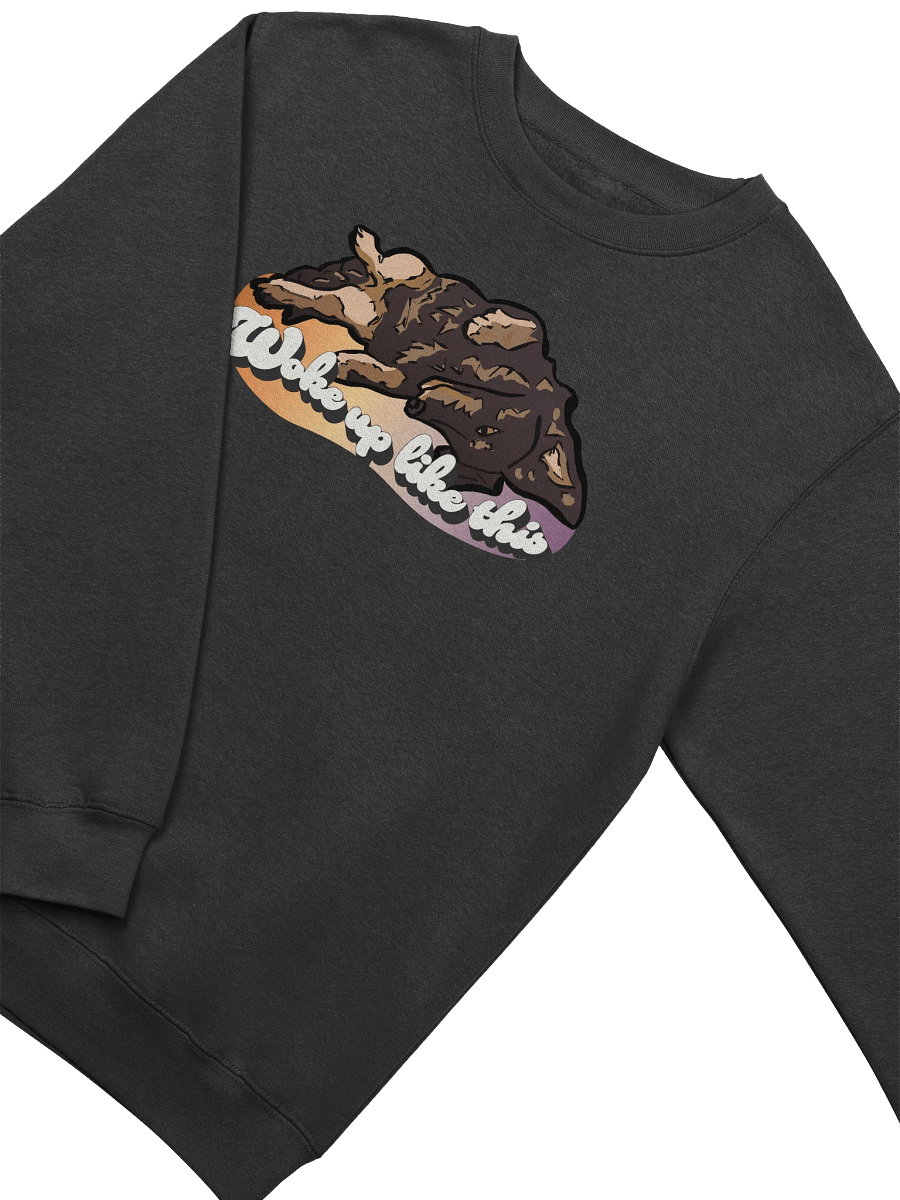 Woke Up Like Longboy - Sweatshirt product image (3)