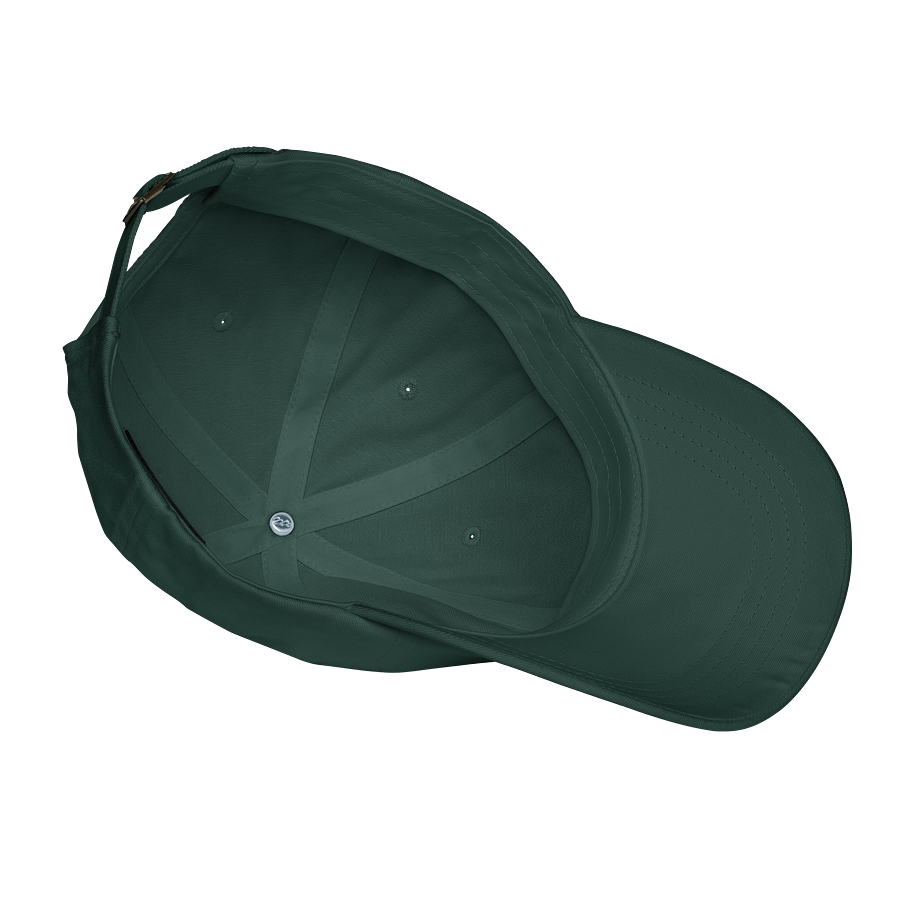 Ron’s Pawn Dad Hat product image (7)