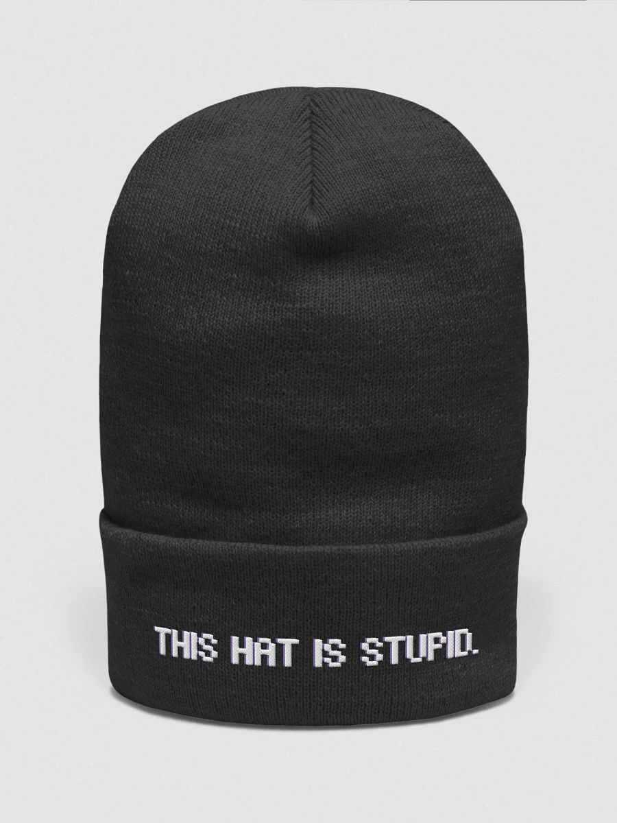 This Hat Is Stupid! product image (2)