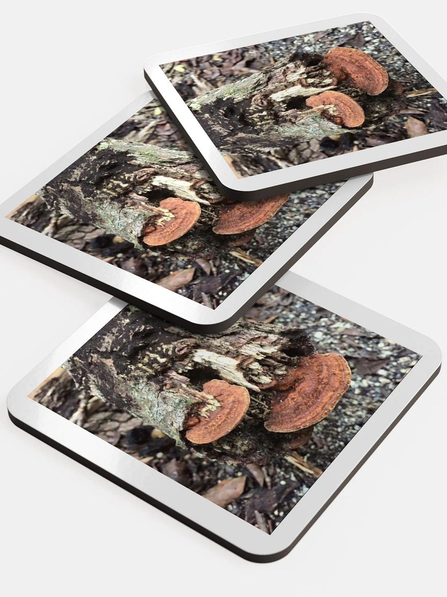 Tree trunk photo coaster product image (5)