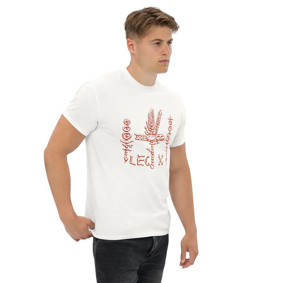 Legion X Legionary Standards Insignia Ancient Rome Art circa 31 BC, T-Shirt product image (15)