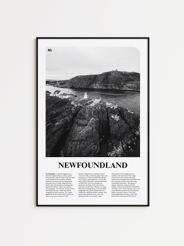 Newfoundland 01 Newspaper Poster product image (1)