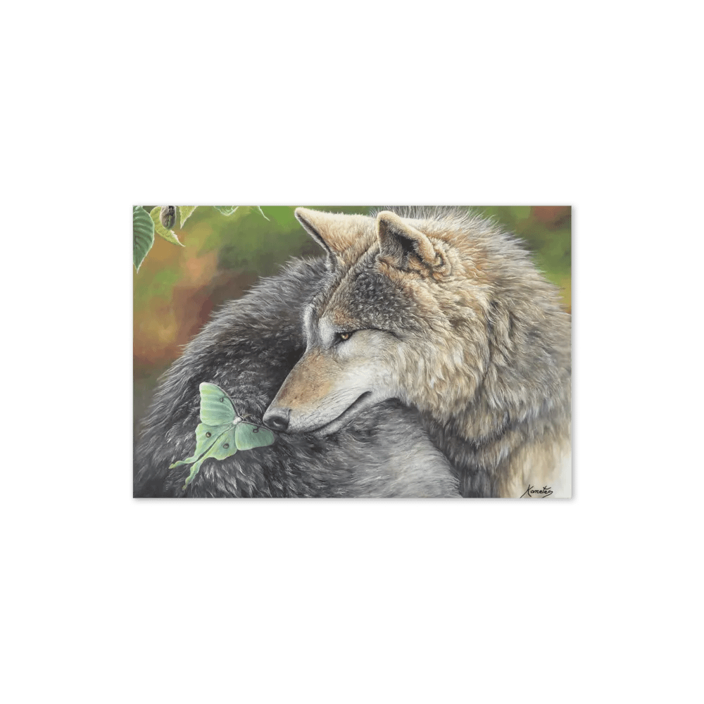 Le Loup et le Papillon product image (11)
