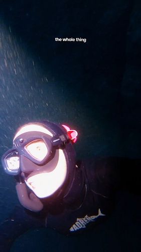 Three reasons why you should get an underwater flashlight / torch for you next dive.

1. Better footage even if you're using ...
