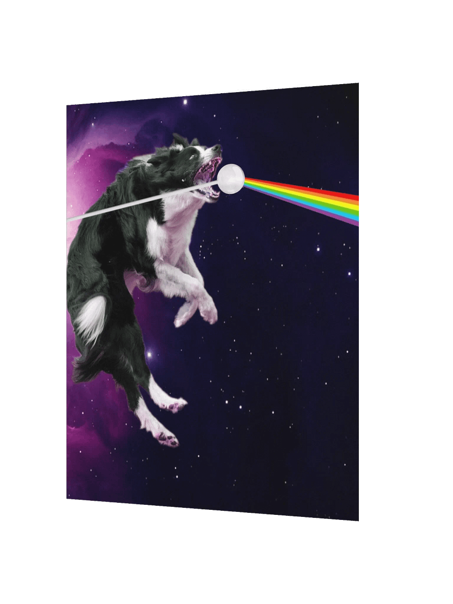 Border Collie Dark Side Of The Cosmos Poster product image (2)