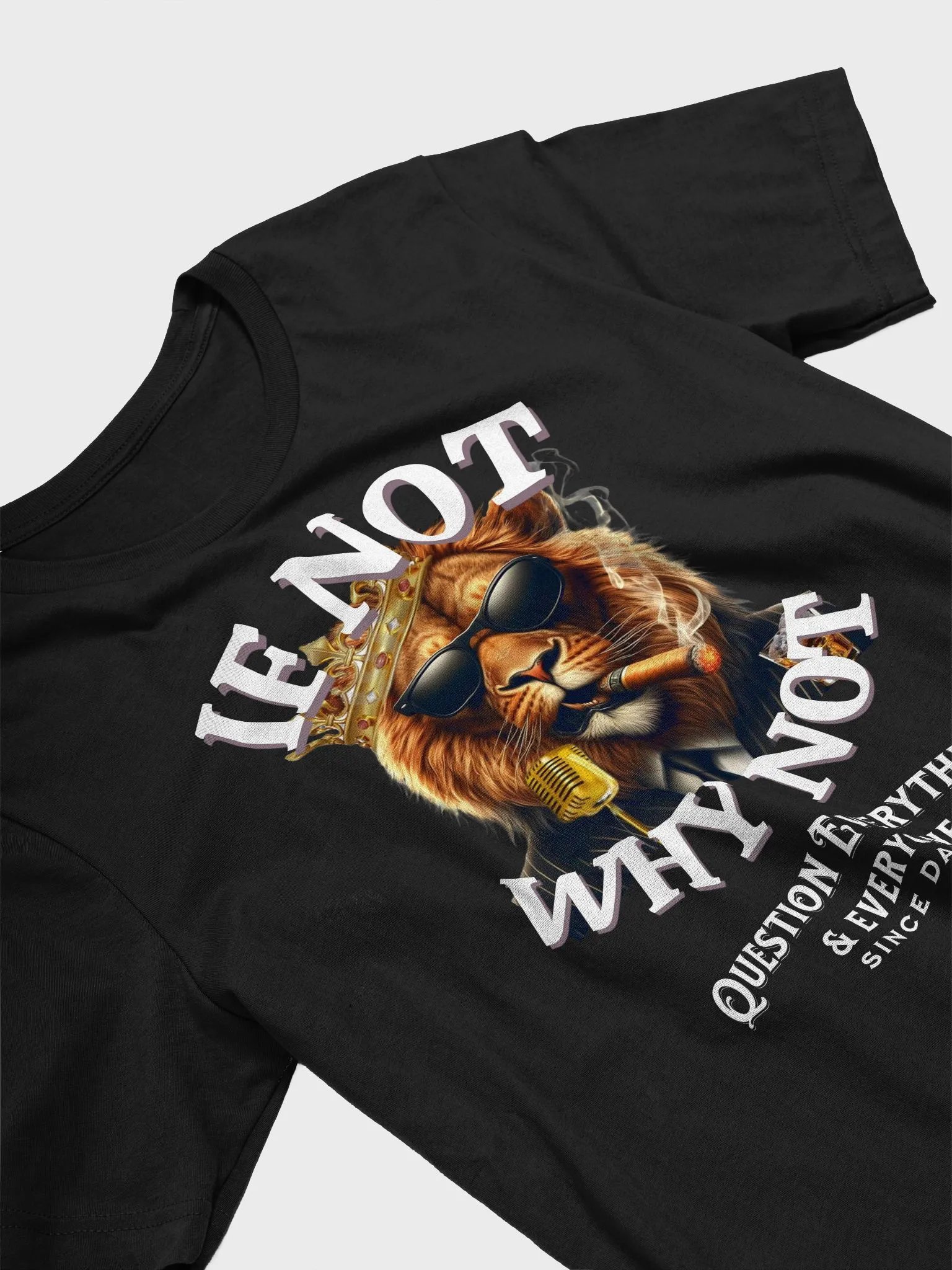IF NOT WHY NOT Hot T-Shirt product image (3)