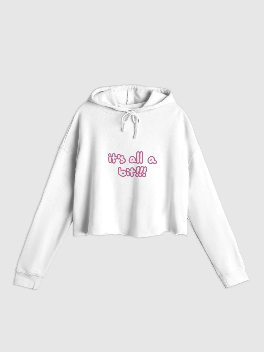 “It’s all a bit!!!” (sm. lined design, #CB6398) lightweight cropped hoodie product image (3)