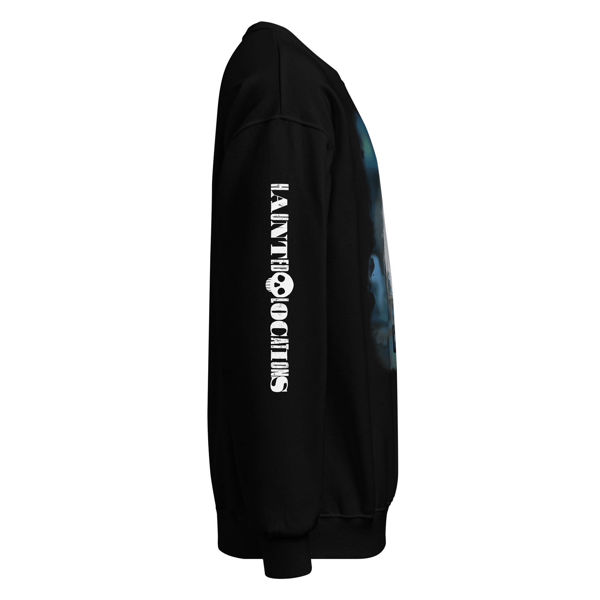 Haunted Locations | SWEATSHIRT product image (4)