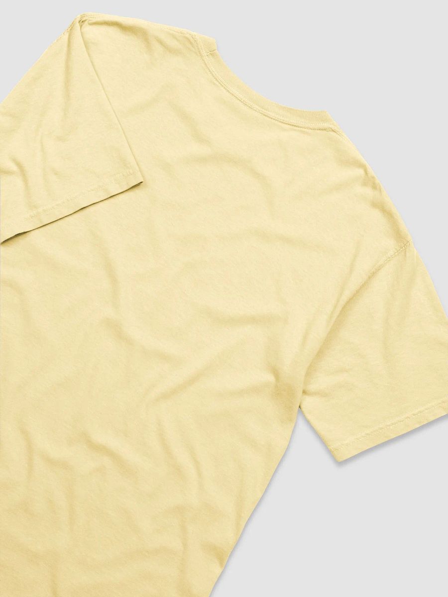 APPLE RANKINGS: RED DELICIOUS APPLE T-SHIRT (Regular Fit) product image (44)