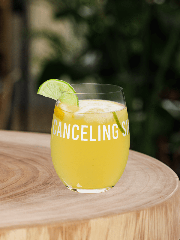'Canceling Since 2015' Stemless Wine Glass product image (2)