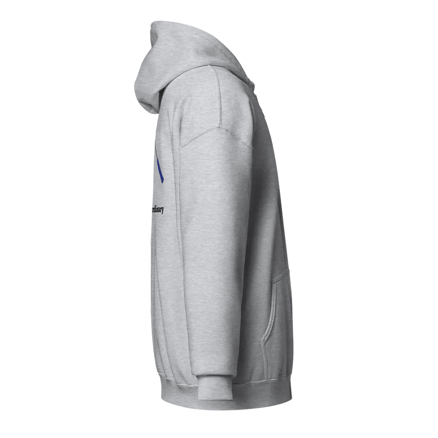 Unearth the Extraordinary Zip Hoodie product image (12)