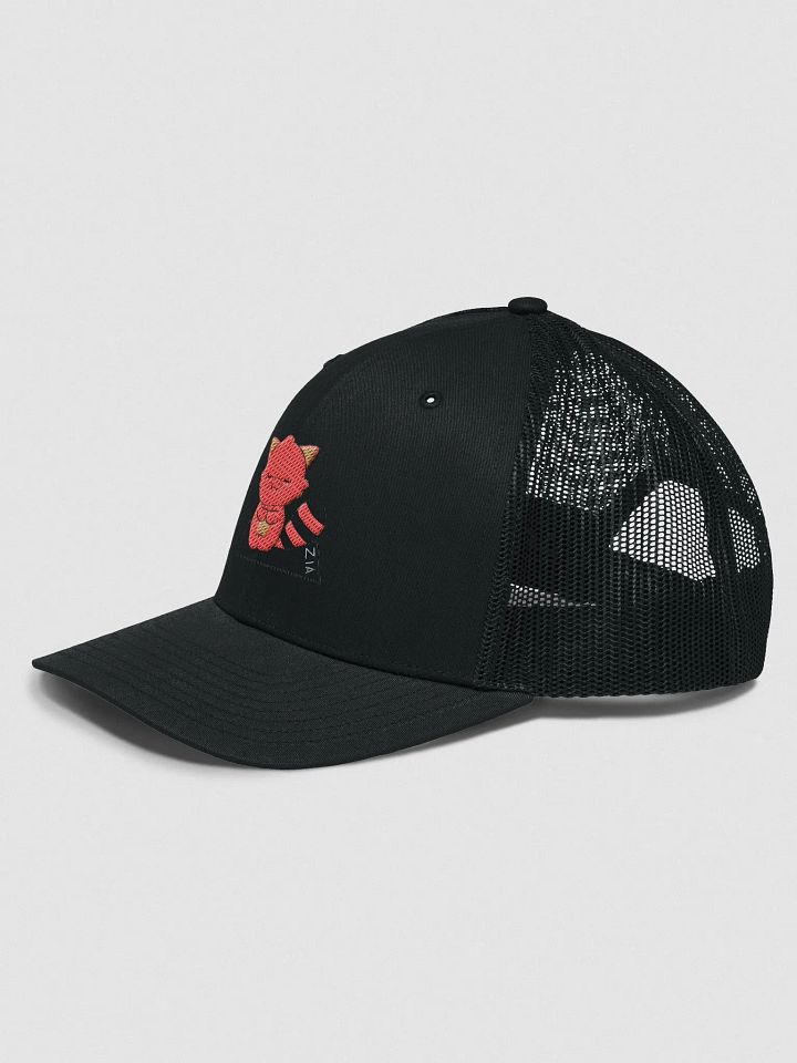 capz product image (2)