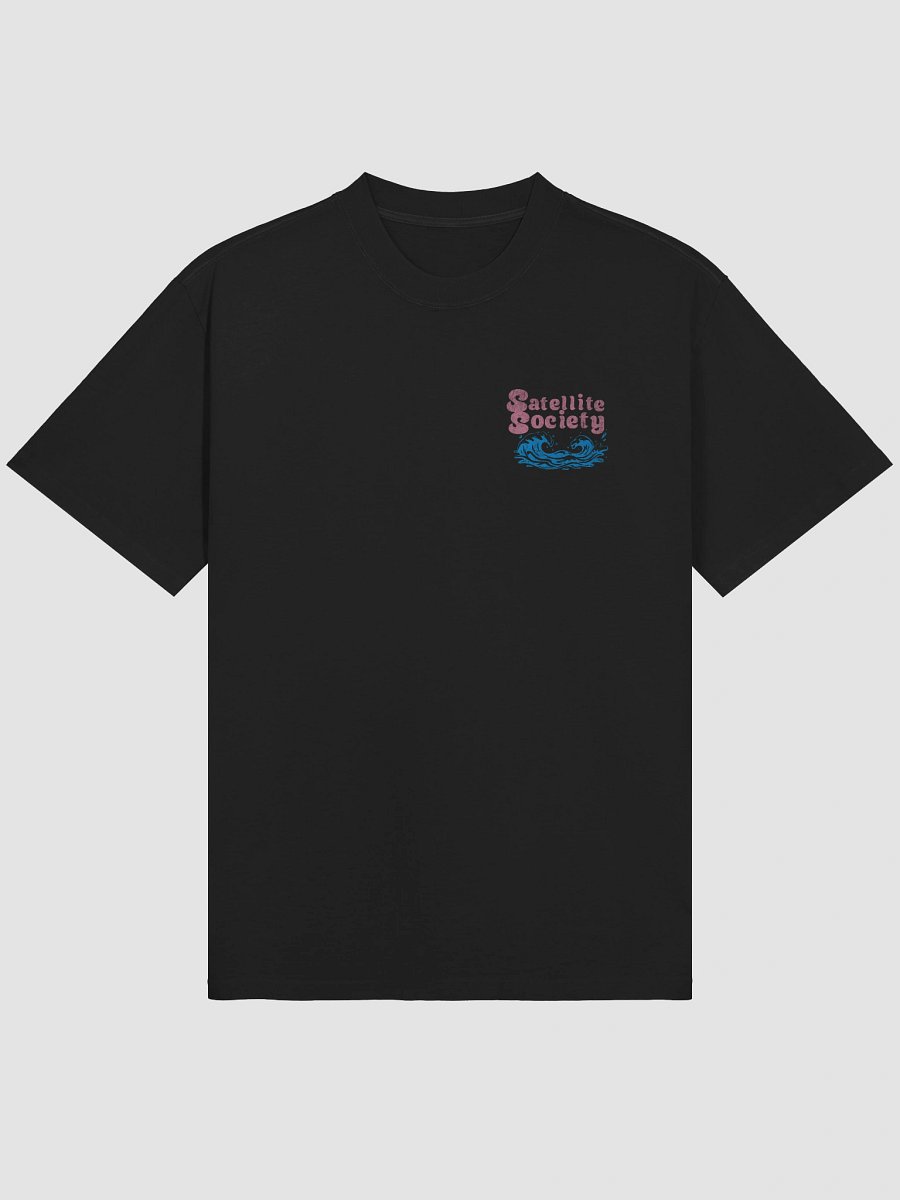 Satellite Society Flamingo Faded Tee product image (12)