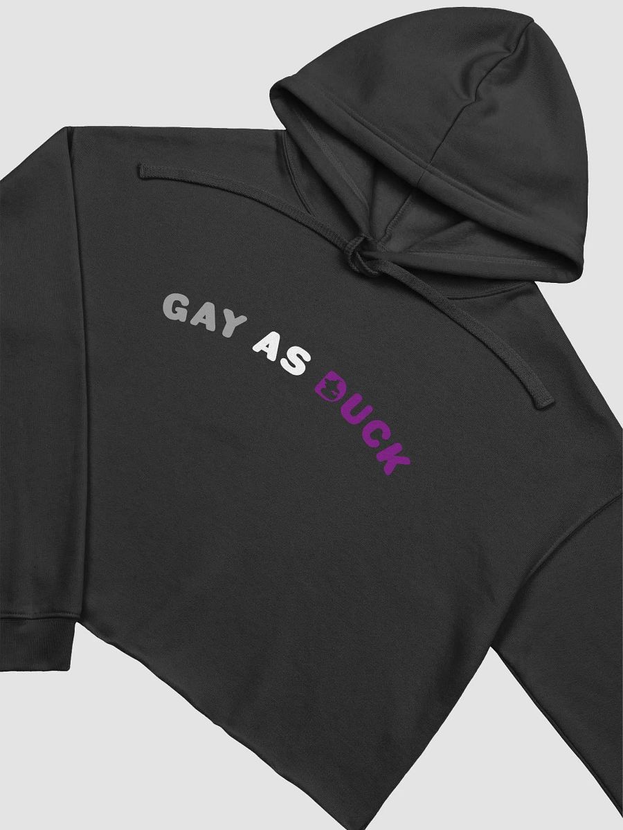 Gay As Duck Crop Hoodie - Ace product image (3)