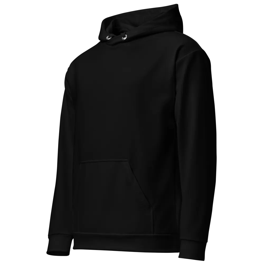 dragon hoodie product image (2)