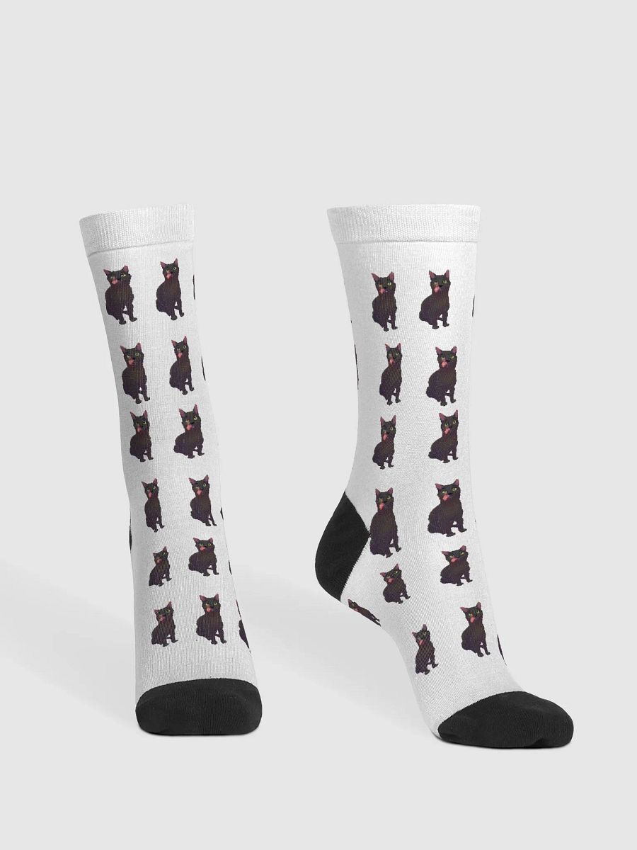 Raven socks product image (2)