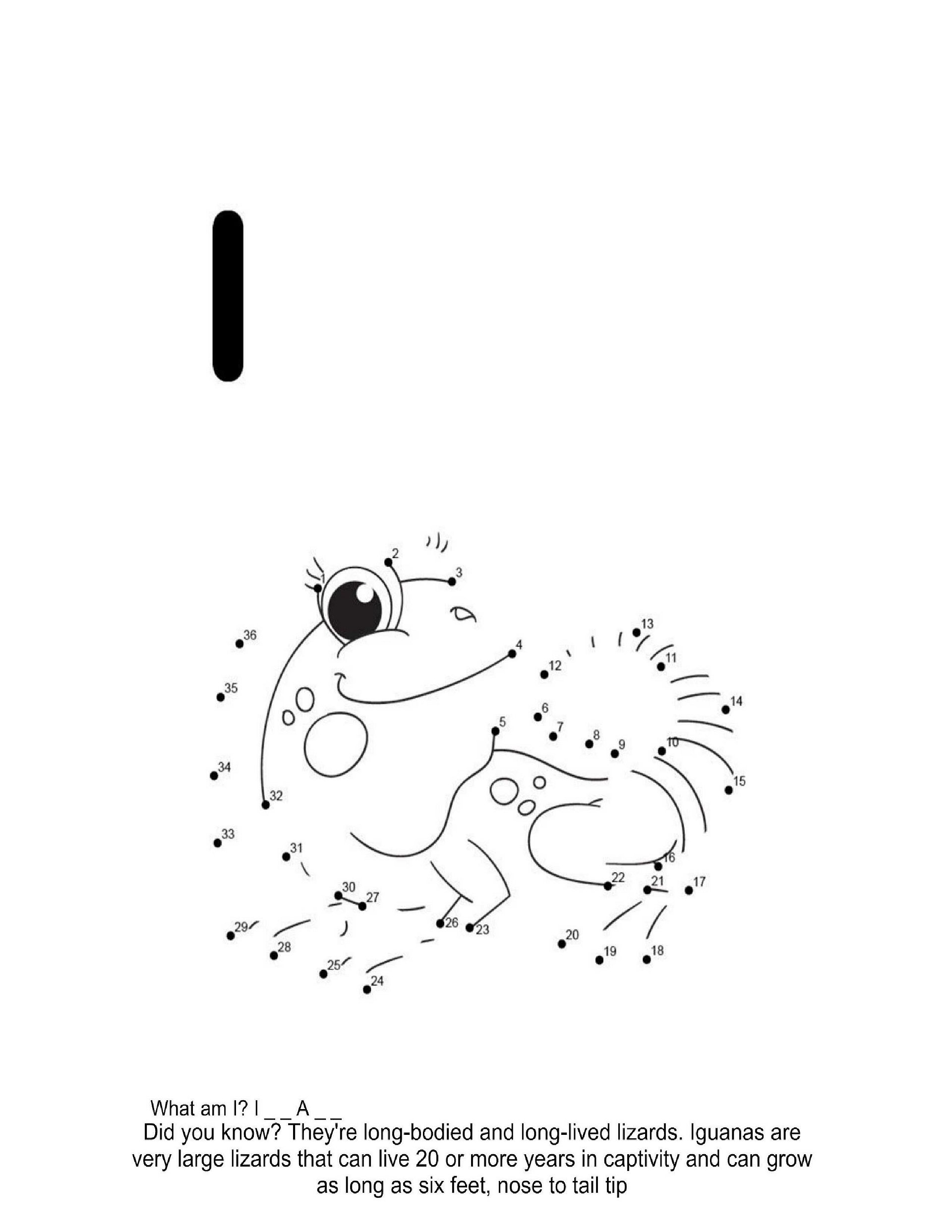 Dot to Dot Jungle Animals Coloring Book product image (10)
