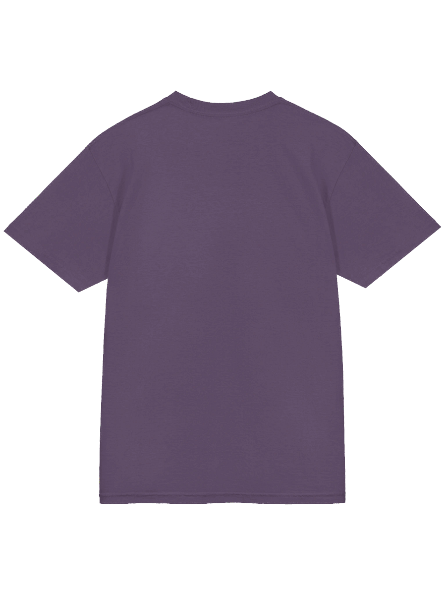 Dragons - Heavyweight T-shirt product image (40)