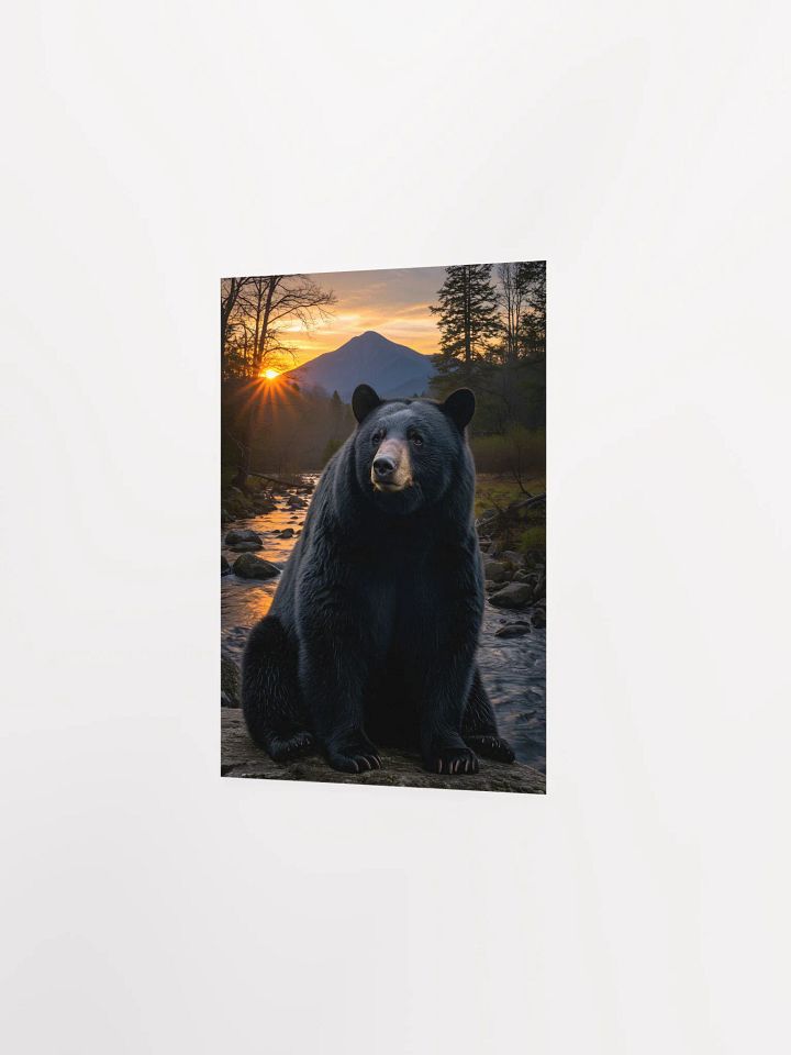 Black Bear: Mt. Le Conte's Guardian Poster product image (10)