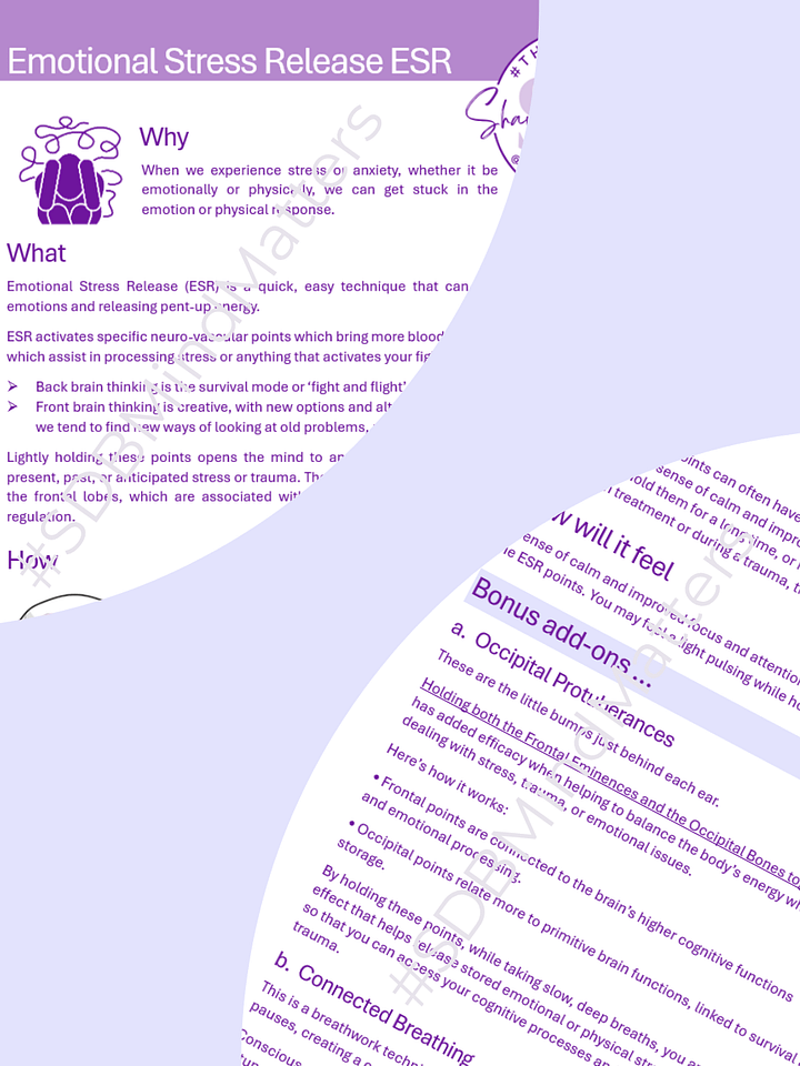 FREE Guide - Emotional Stress Release (ESR) Technique product image (2)