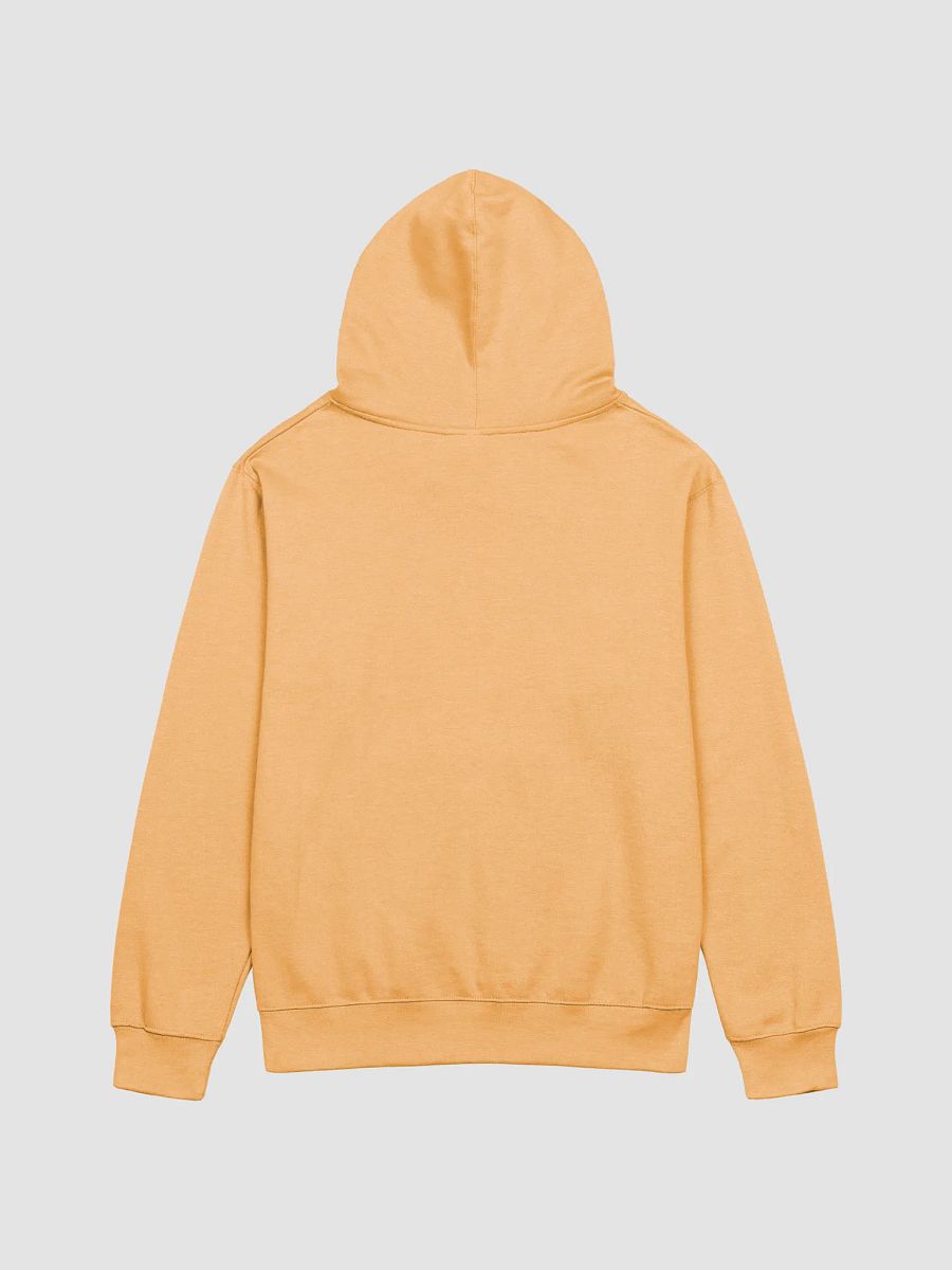 Alien Control Hoodie product image (2)