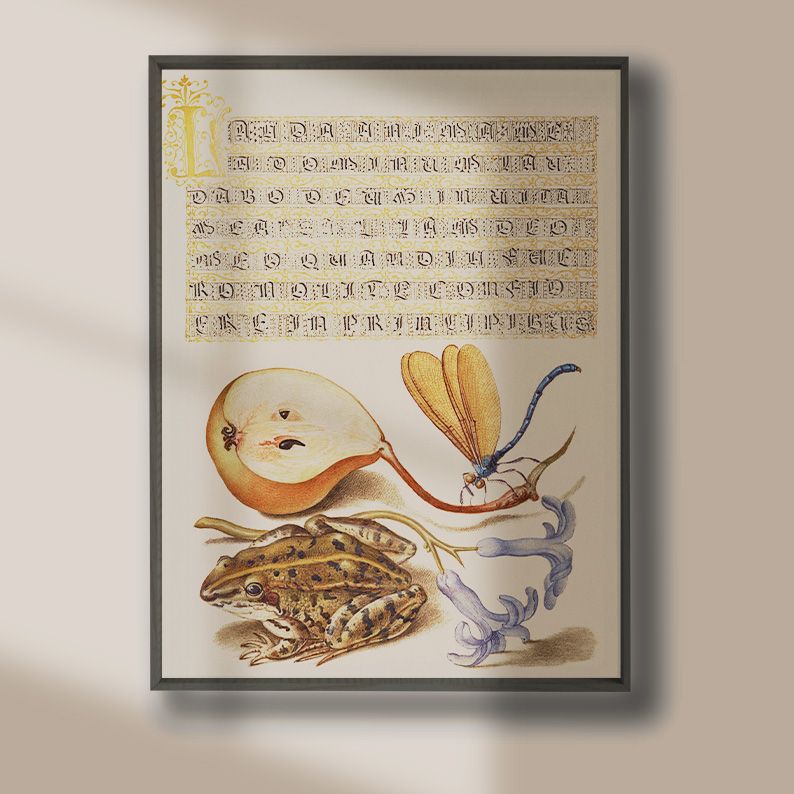 Peach& Blue Gallery Wall Set of 10 Vintage DIGITAL Prints product image (12)
