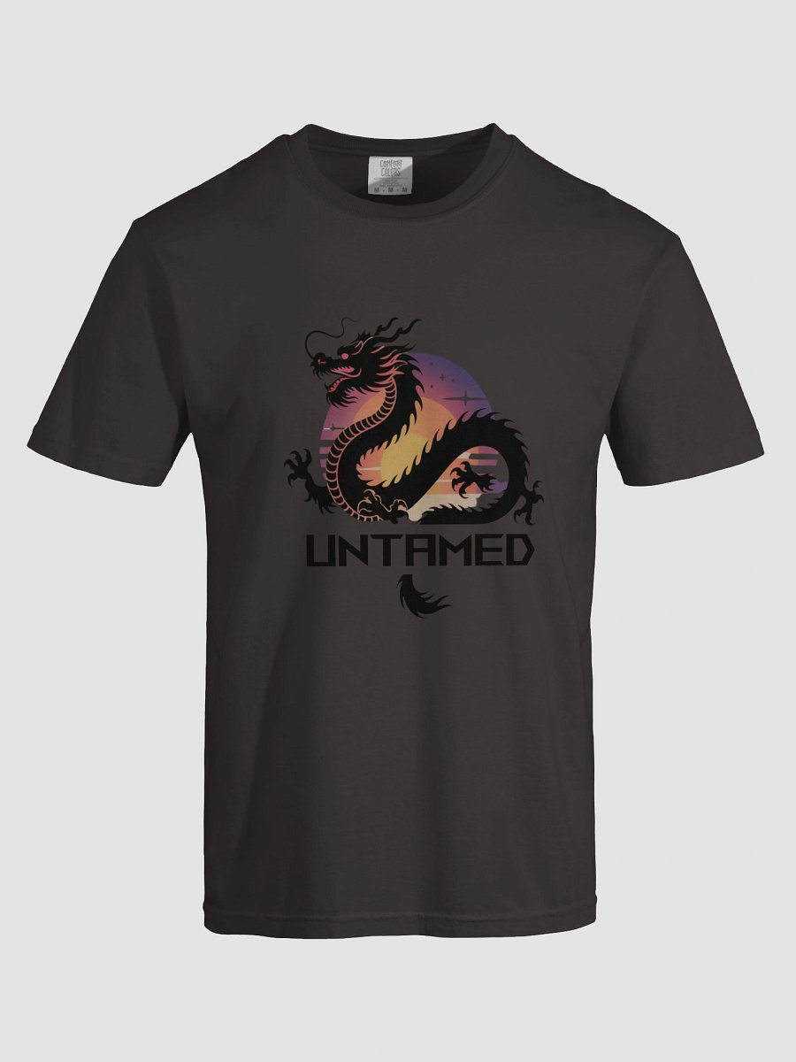 Dragon Sunset Silhouette T-Shirt product image (19)