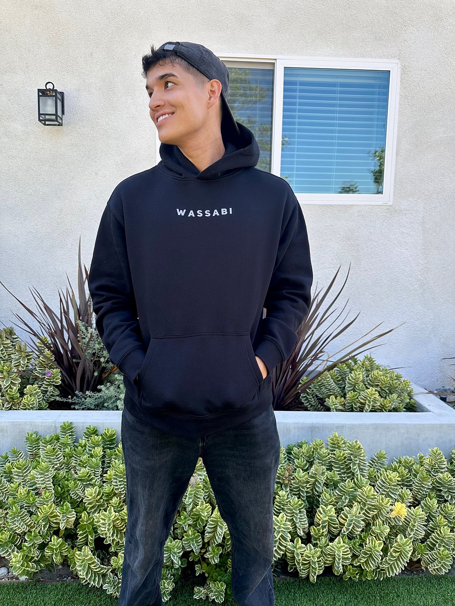 Wassabi Logo Hoodie product image (3)