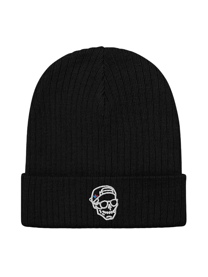 embroidered Skull - Ribbed Knit Beanie product image (1)
