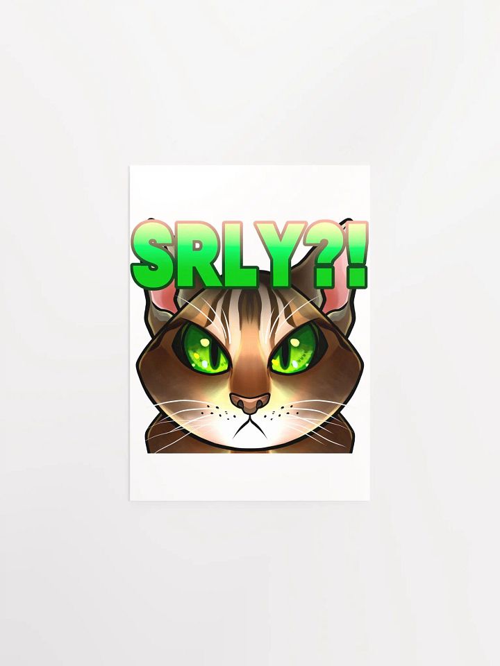 SRLY?! Poster product image (3)