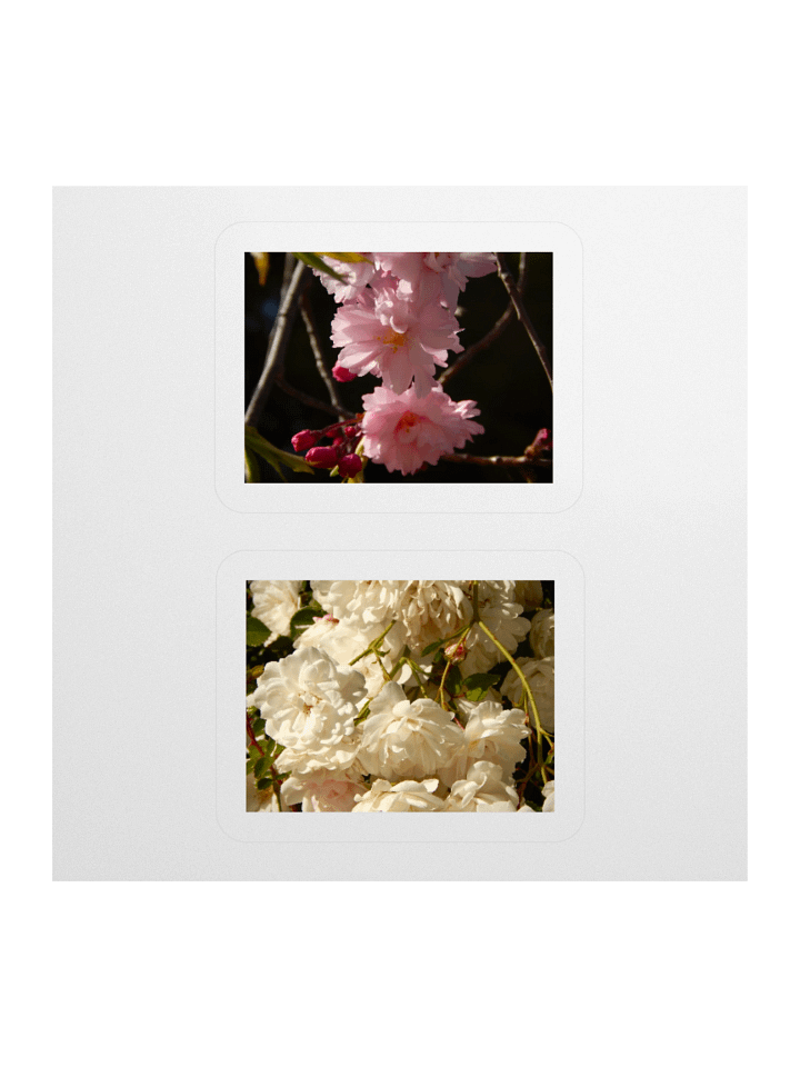 Flowers - Sticker Sheet product image (1)