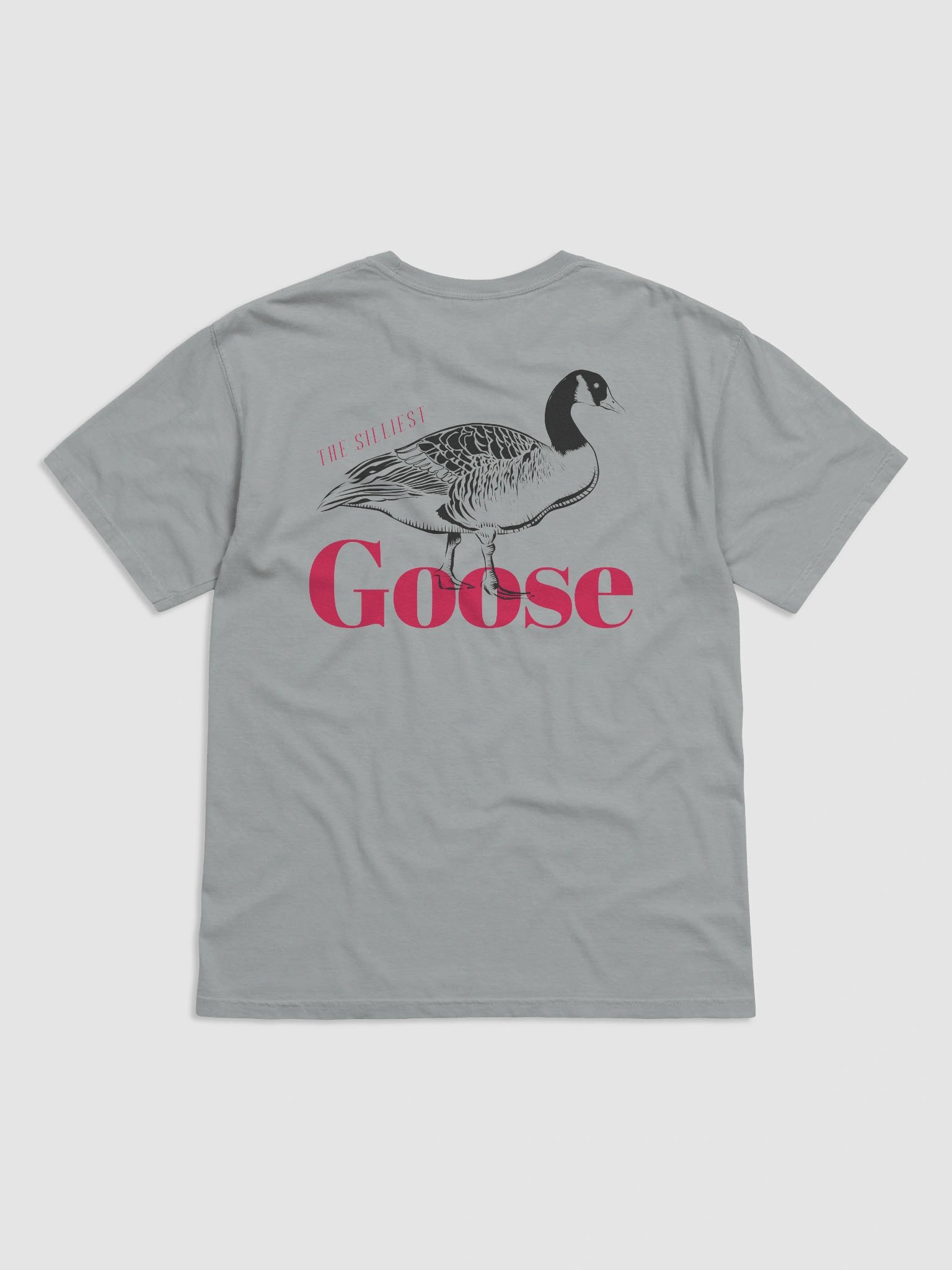 The Silliest Goose product image (1)