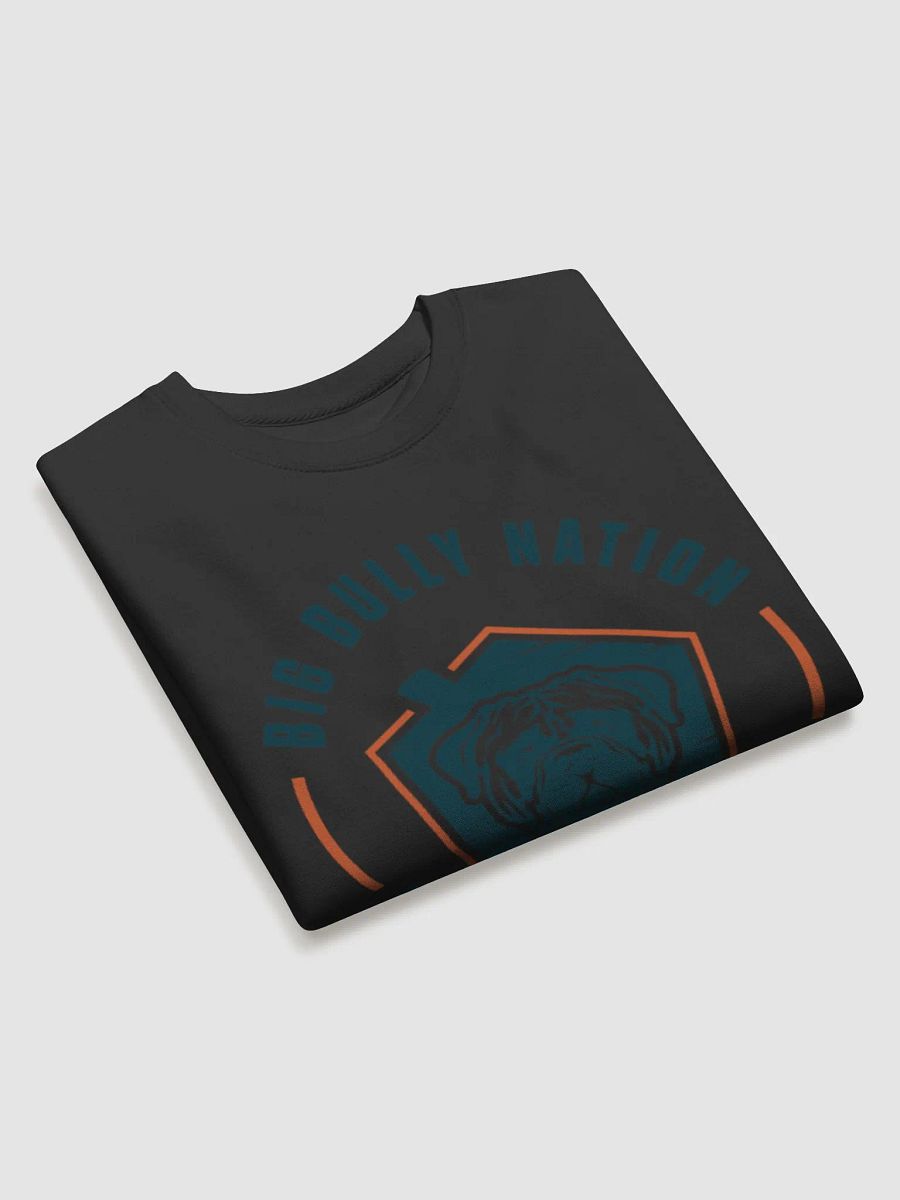 BBN Logo 2 Premium Sweatshirt product image (24)