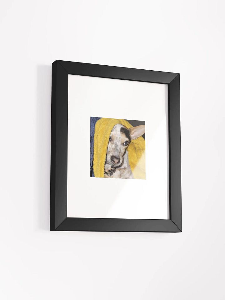 Bronx the Adorable product image (4)