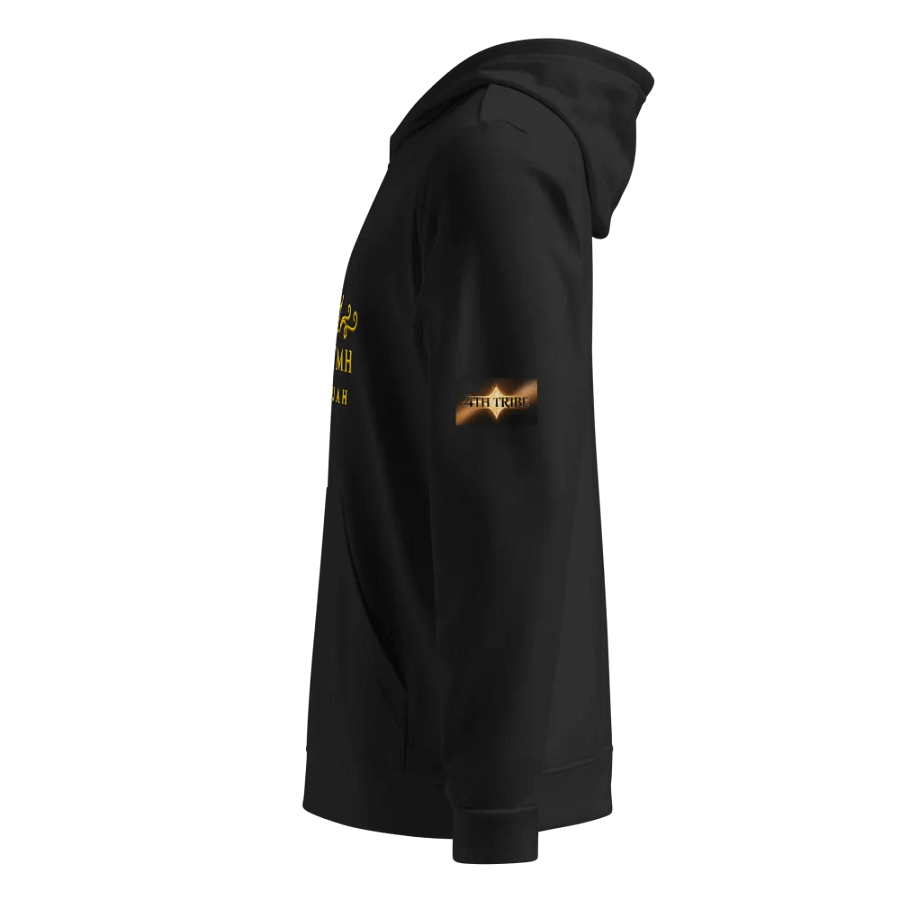 Royal Majesty Gold Crown Hoodie product image (2)