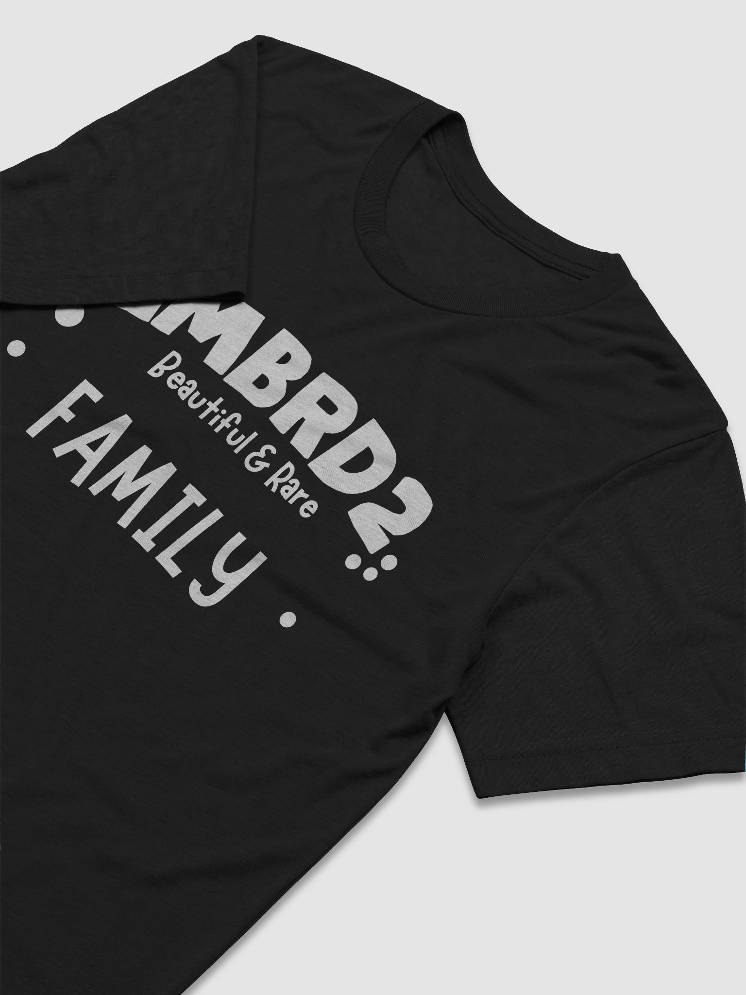 LMBRD2 Triblend Short Sleeve T-Shirt - FAMILY product image (3)