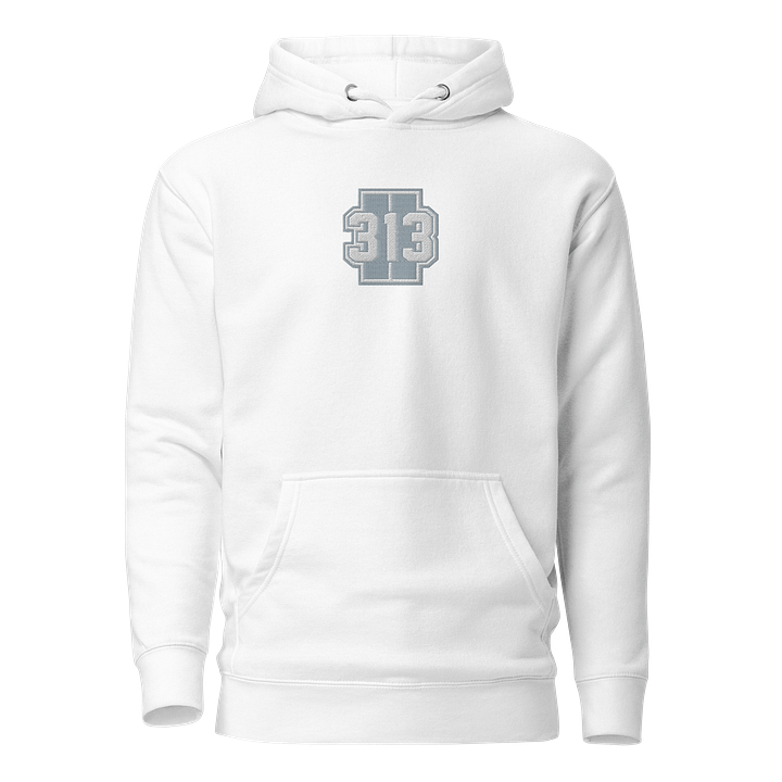 Core 313 Hoodie #3 product image (1)