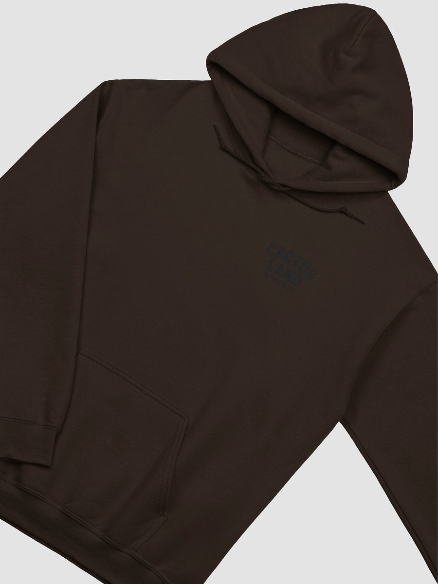 Cactus Land Hoodie product image (10)