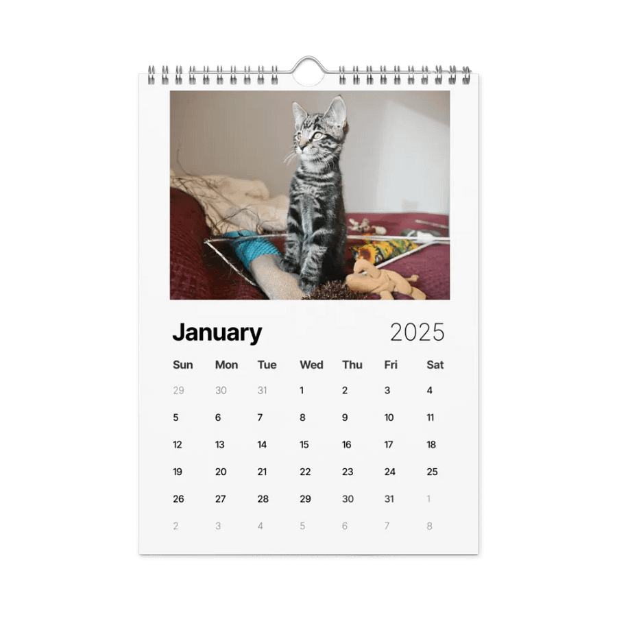 Noah and Friends 2025 Calendar product image (6)