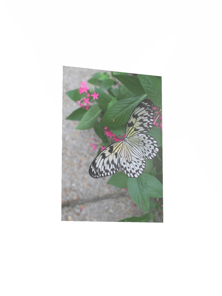 Yellow Butterfly Flying product image (16)