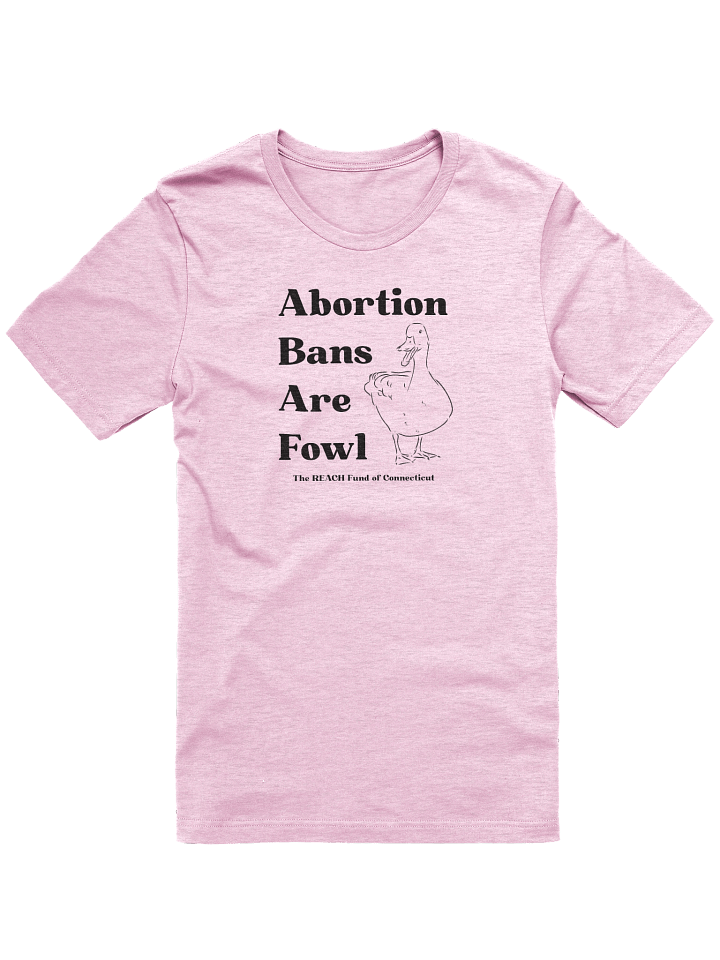 Abortion Bans Are Fowl product image (1)