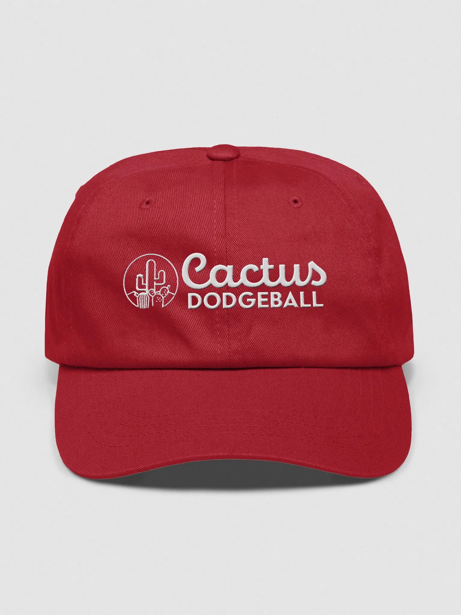 Cactus Dodgeball 