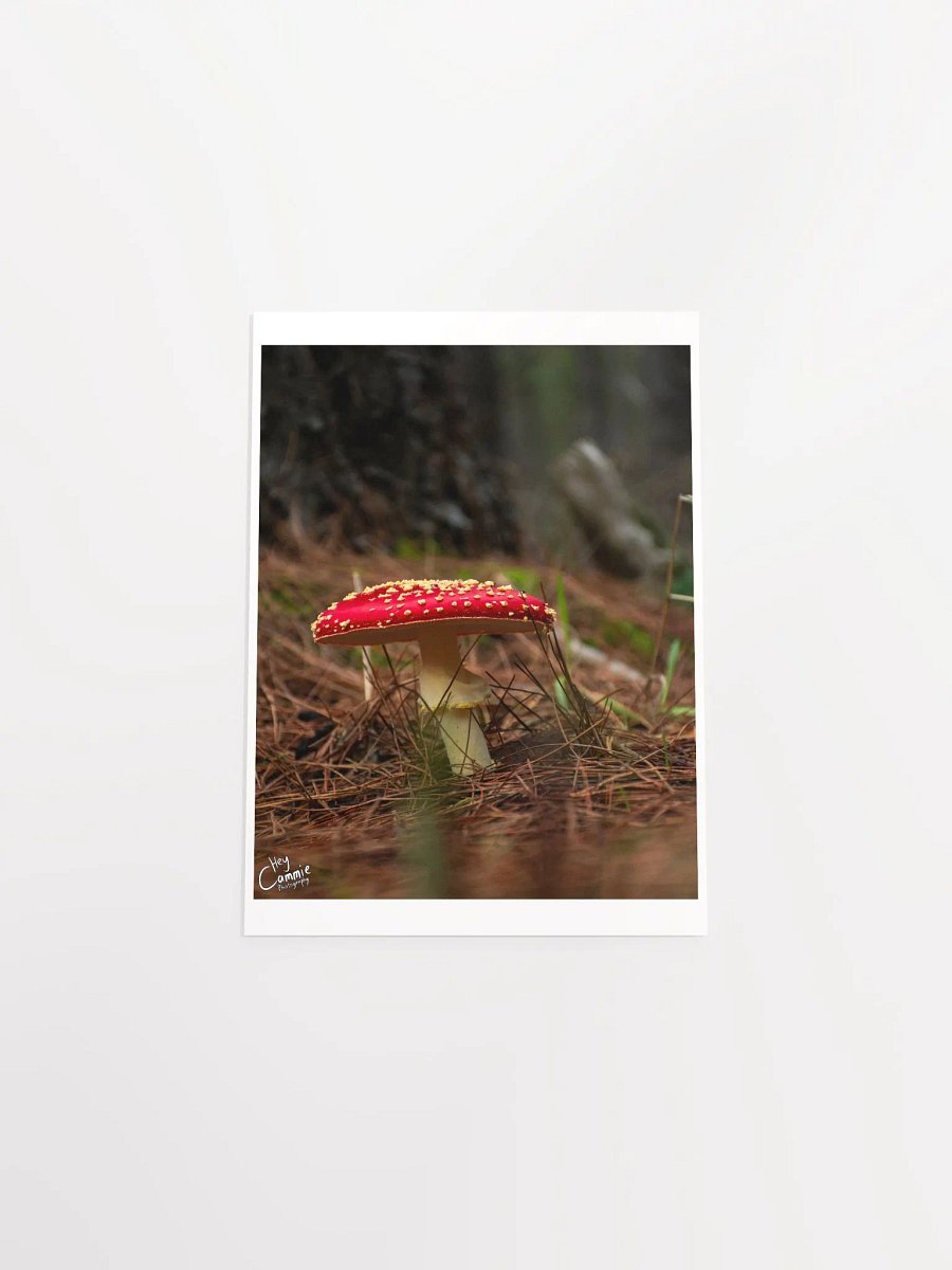 The Fae Wild - Print product image (4)