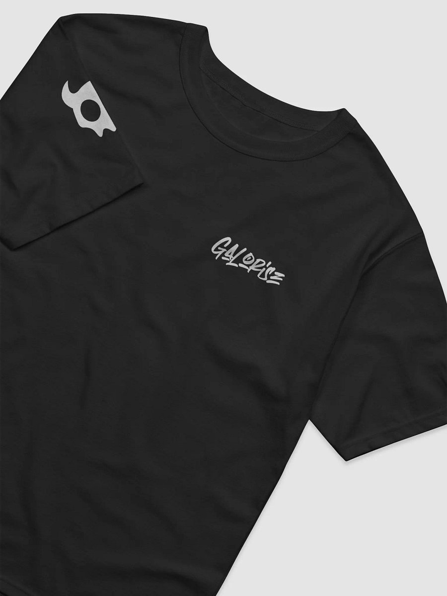 Galorise x Champion T-Shirt product image (4)