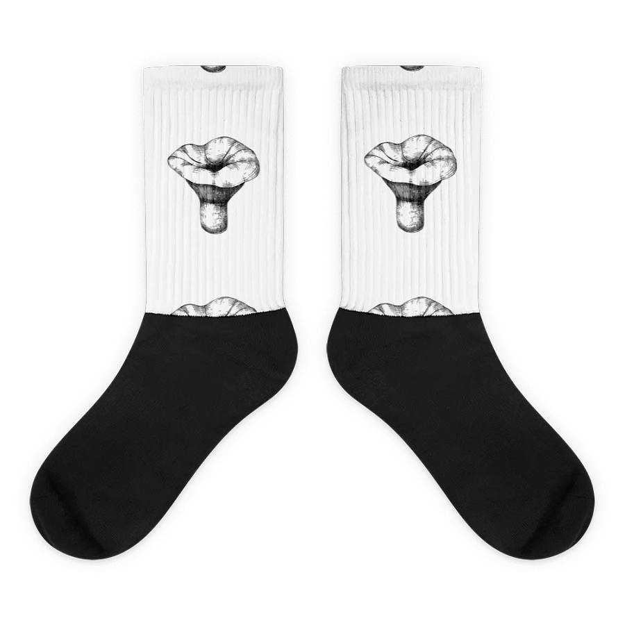 Saffron milk cap - Yeah, I can't make that punny product image (1)