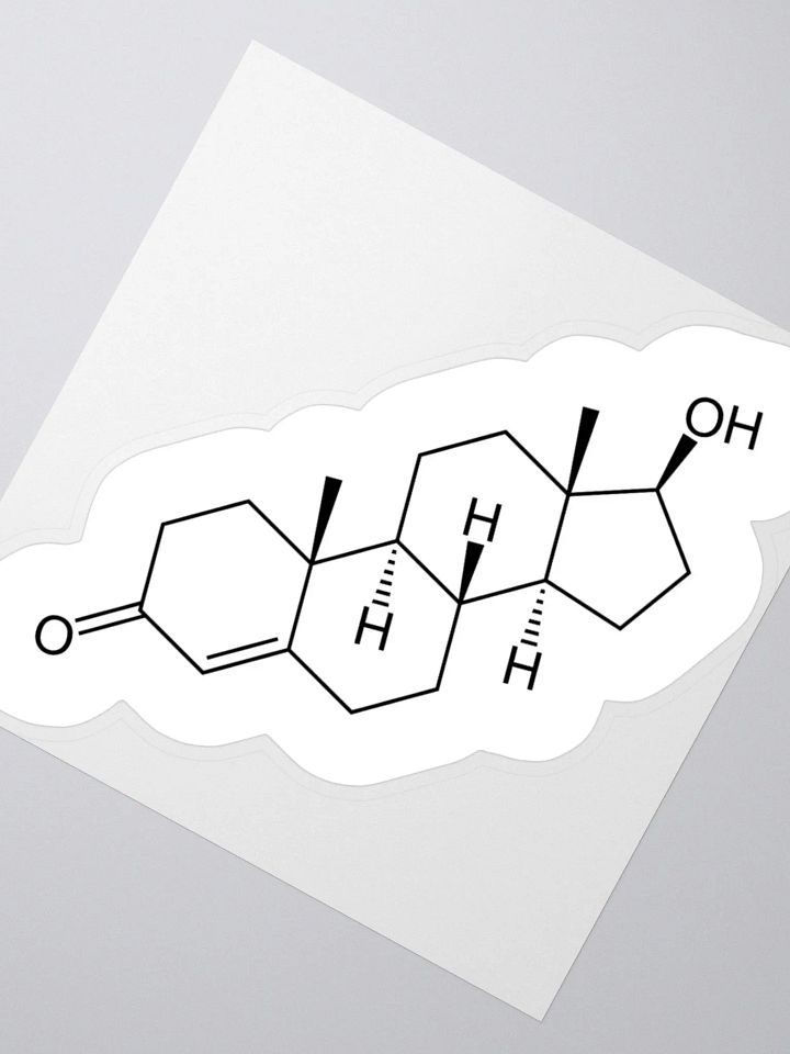 HRT // TESTOSTERONE II product image (2)