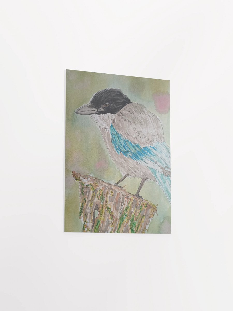 Corvid Series [10] Azure-winged Magpie poster print product image (3)